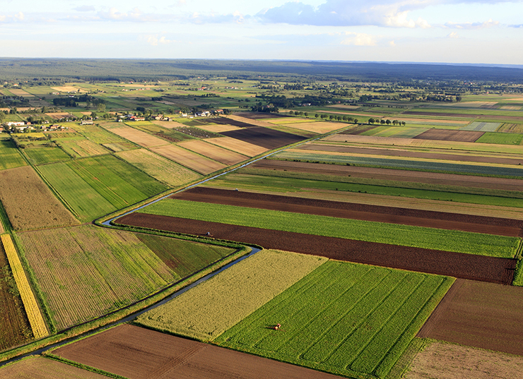 parcelles