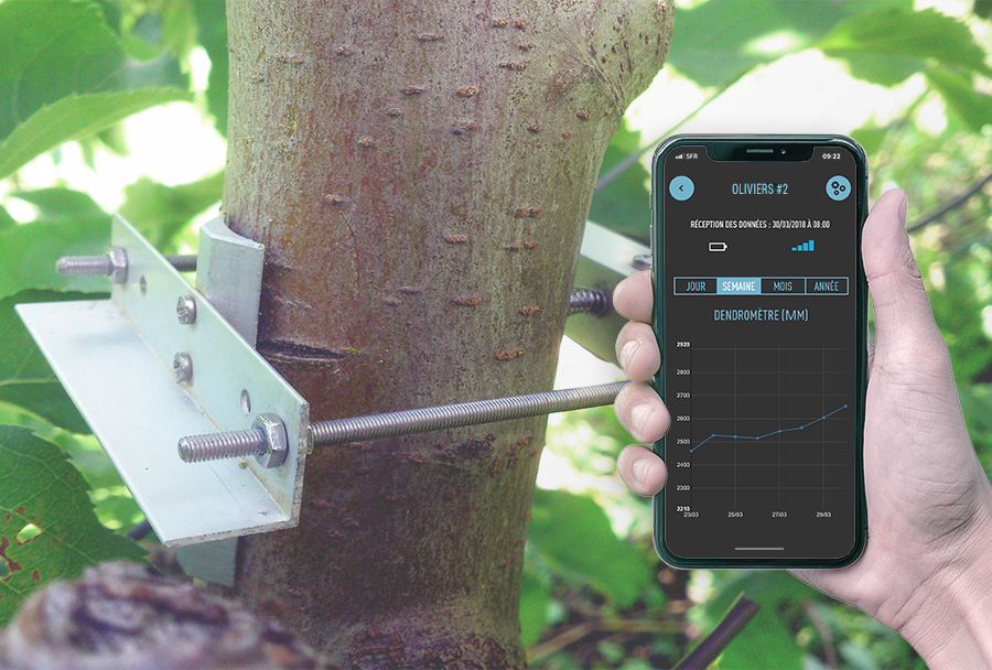 Agriscope, partenaire IoTA pour l'irrigation des cultures