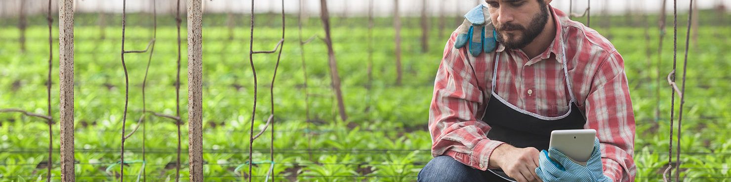 Application mobile agricole Smag Farmer