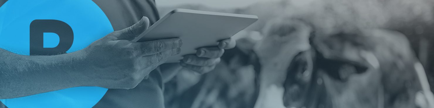 logiciel de gestion de troupeaux bovins