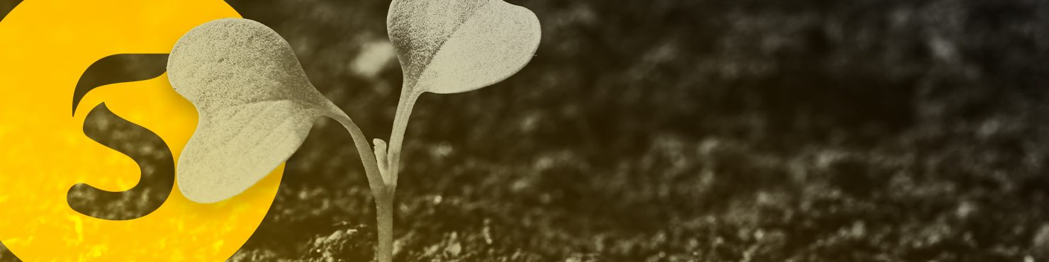 Logiciel pour la gestion des semences