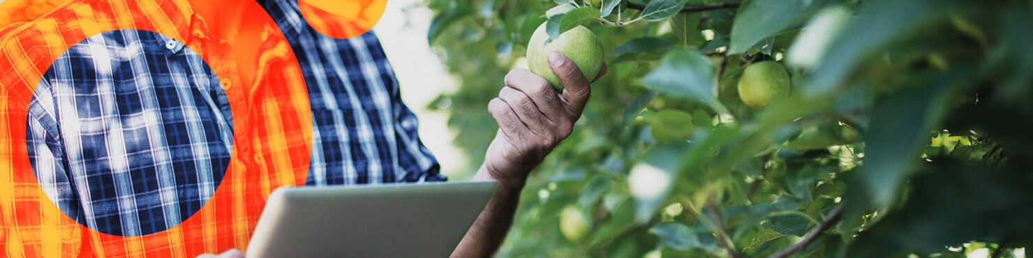 logiciel arboriculture maraîchage