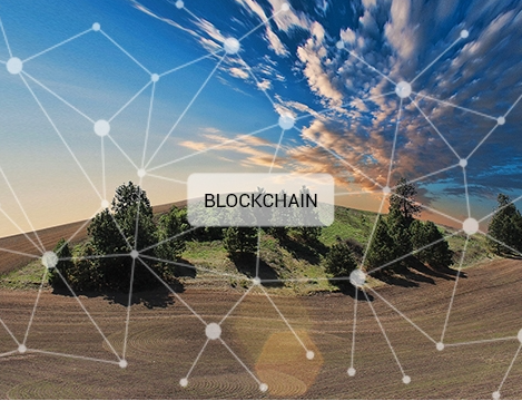 blockchain agriculture
