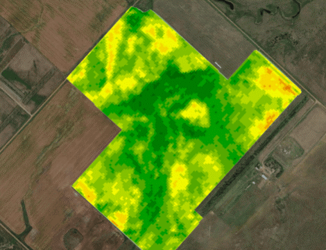 teledetection Sentinel et NDVI