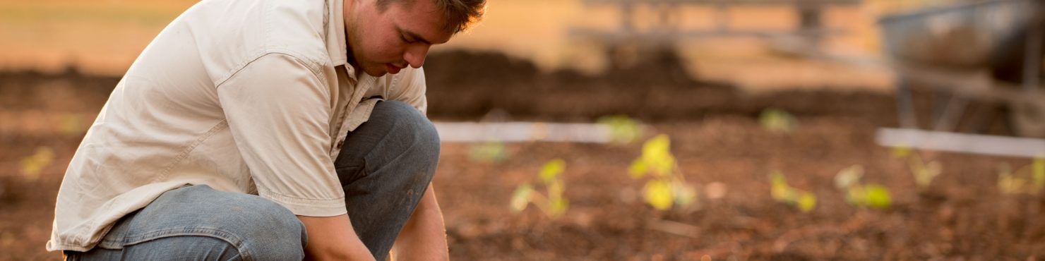 traçabilité agricole