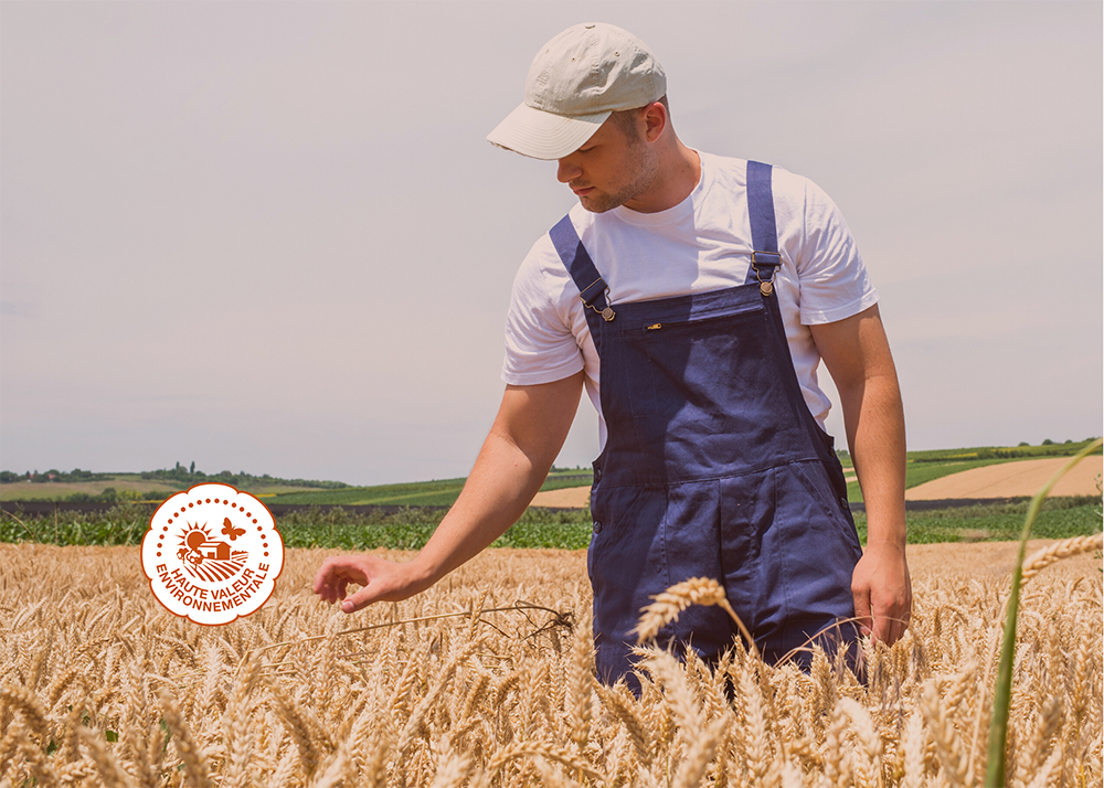 SMAG vous accompagne sur tous les niveaux de la certification HVE