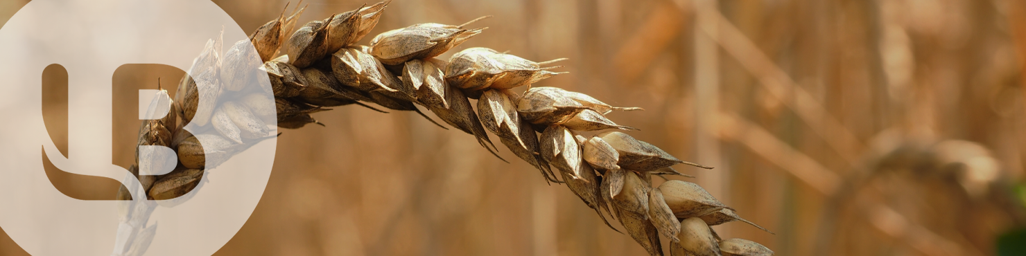 business intelligence agriculture