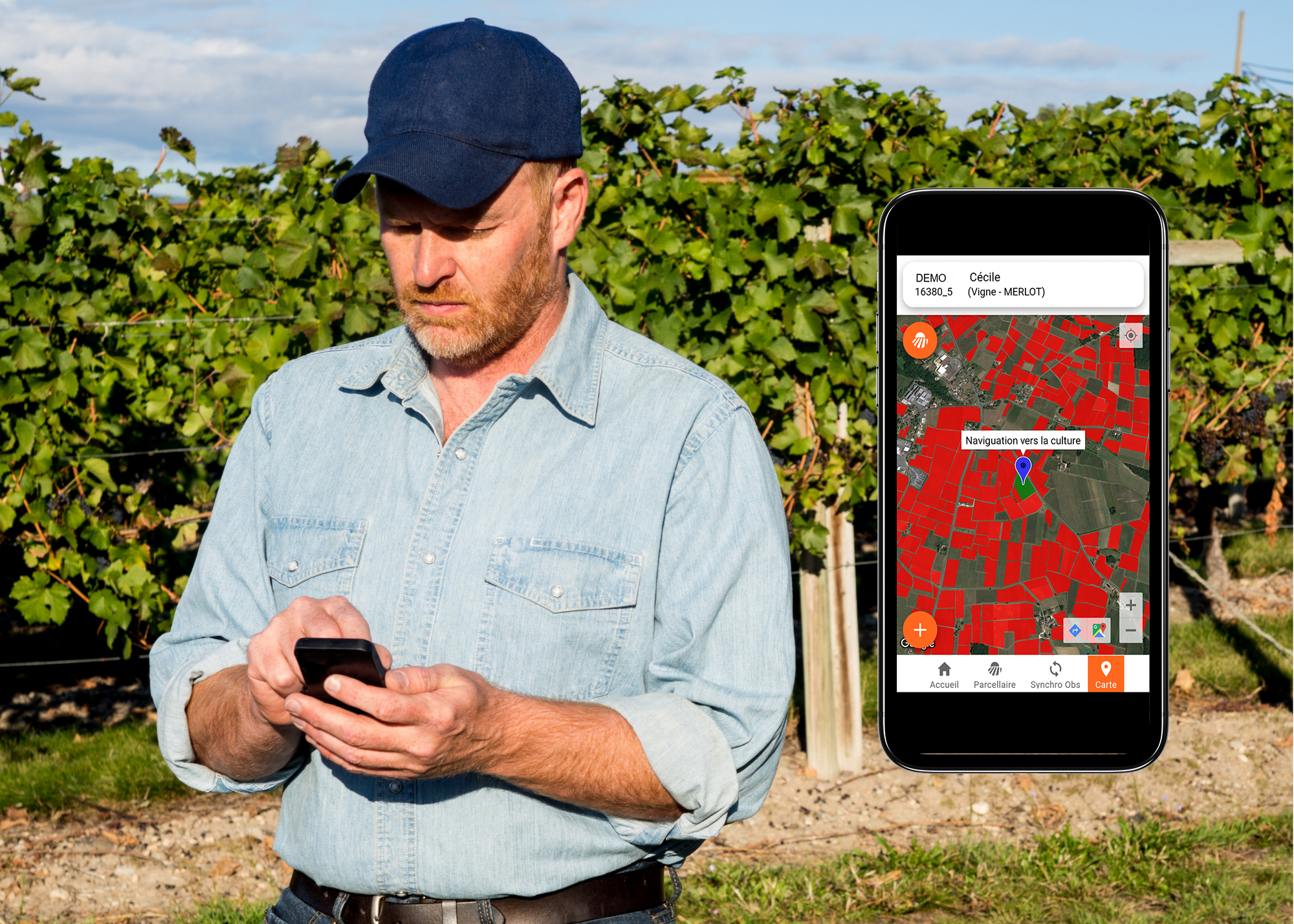 Une application mobile pour accompagner les salariés dans leurs interventions au vignoble