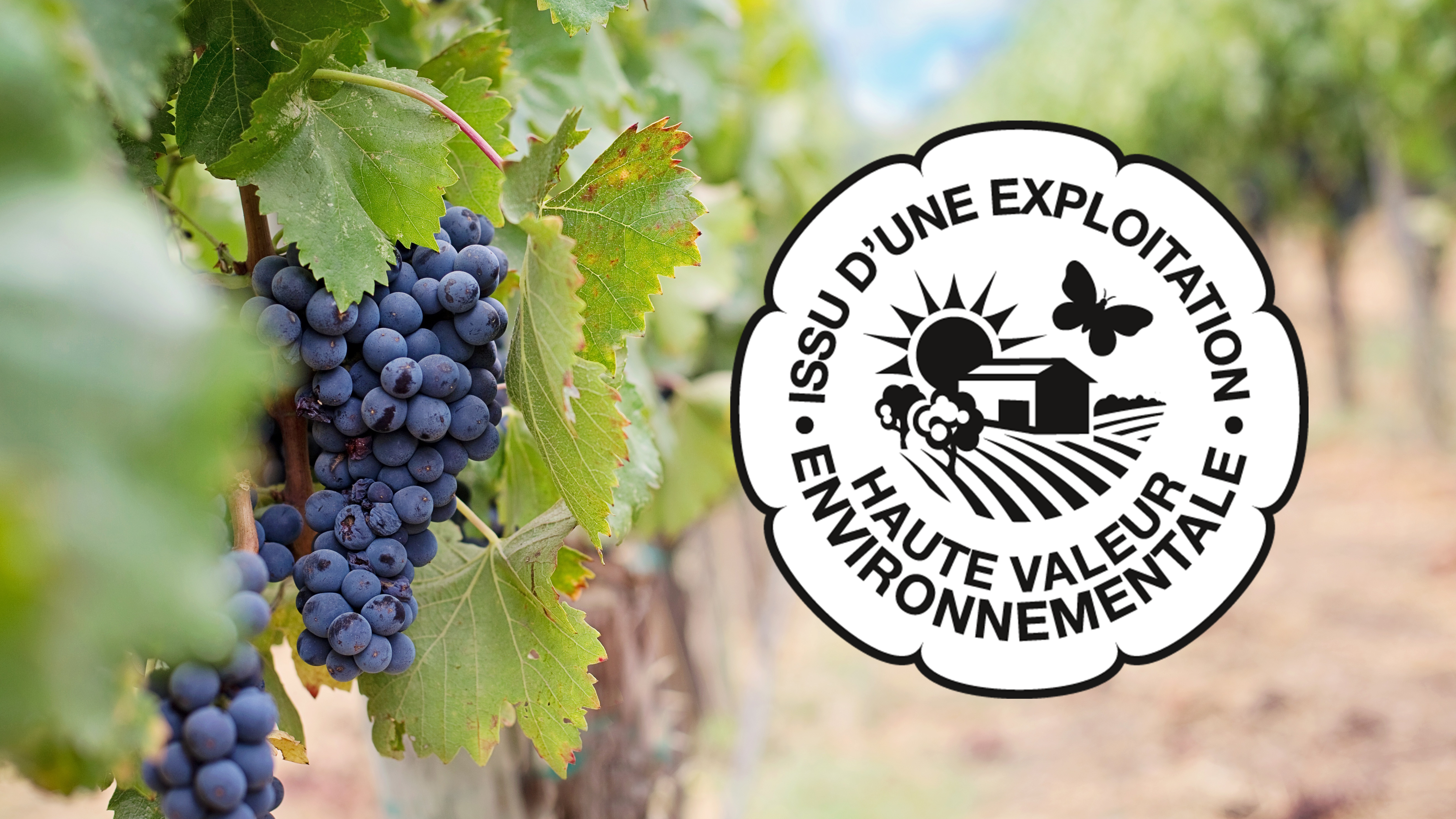 Vous envisagez la certification HVE ?
