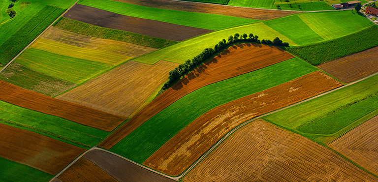 Logiciel agricole