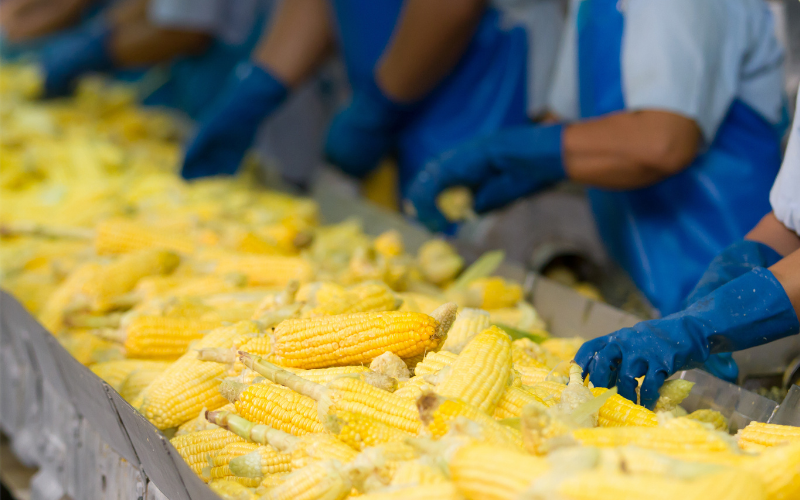 Garantissez la traçabilité de votre chaine de production