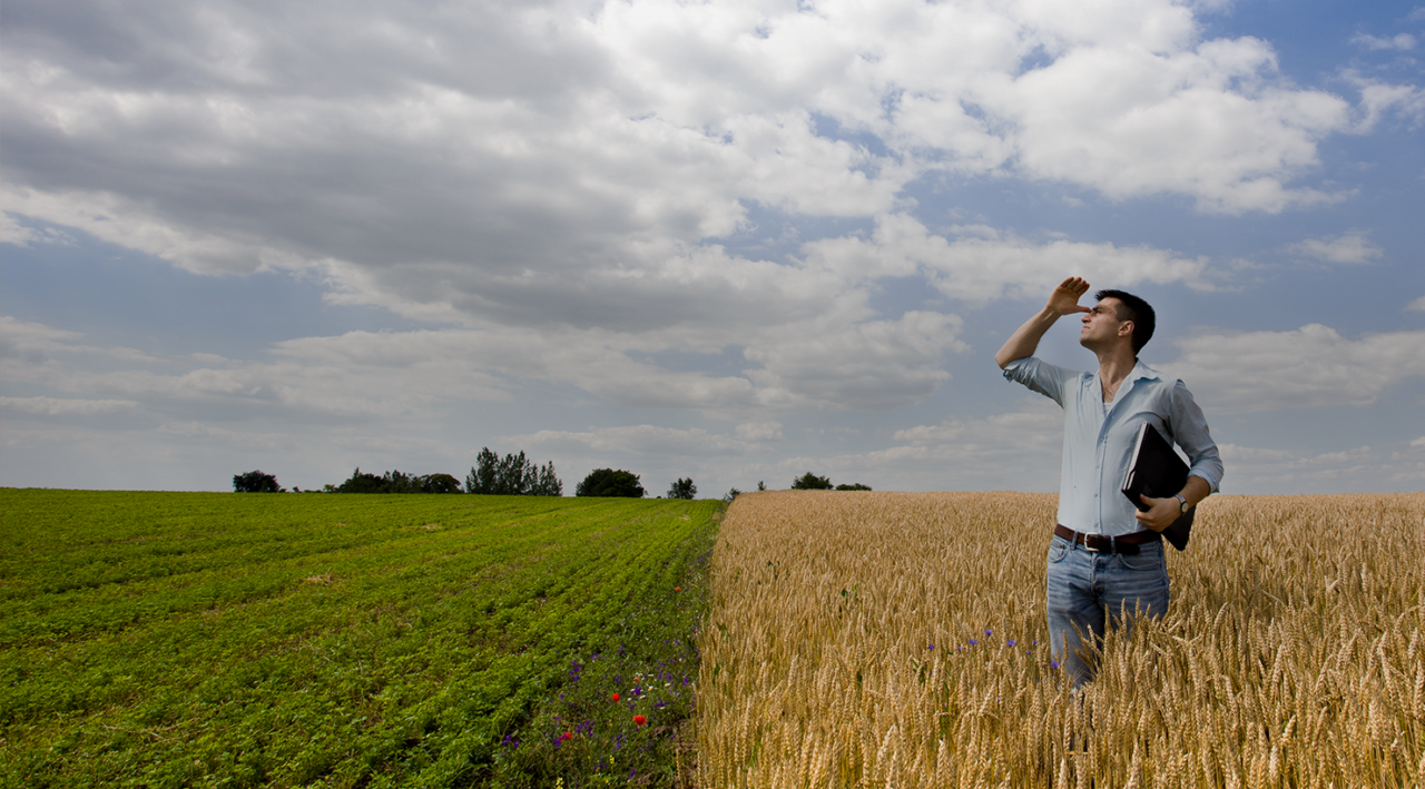 Météo agricole de précision