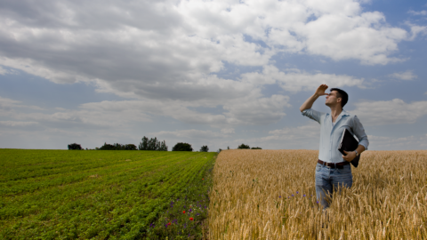 Météo agricole de précision