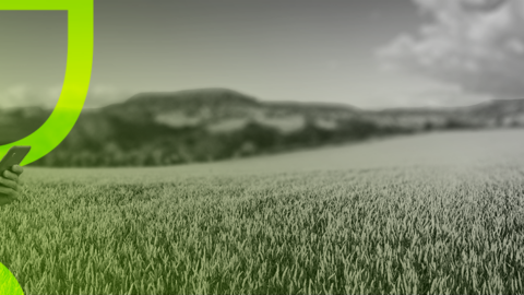 filière végétale plant sector