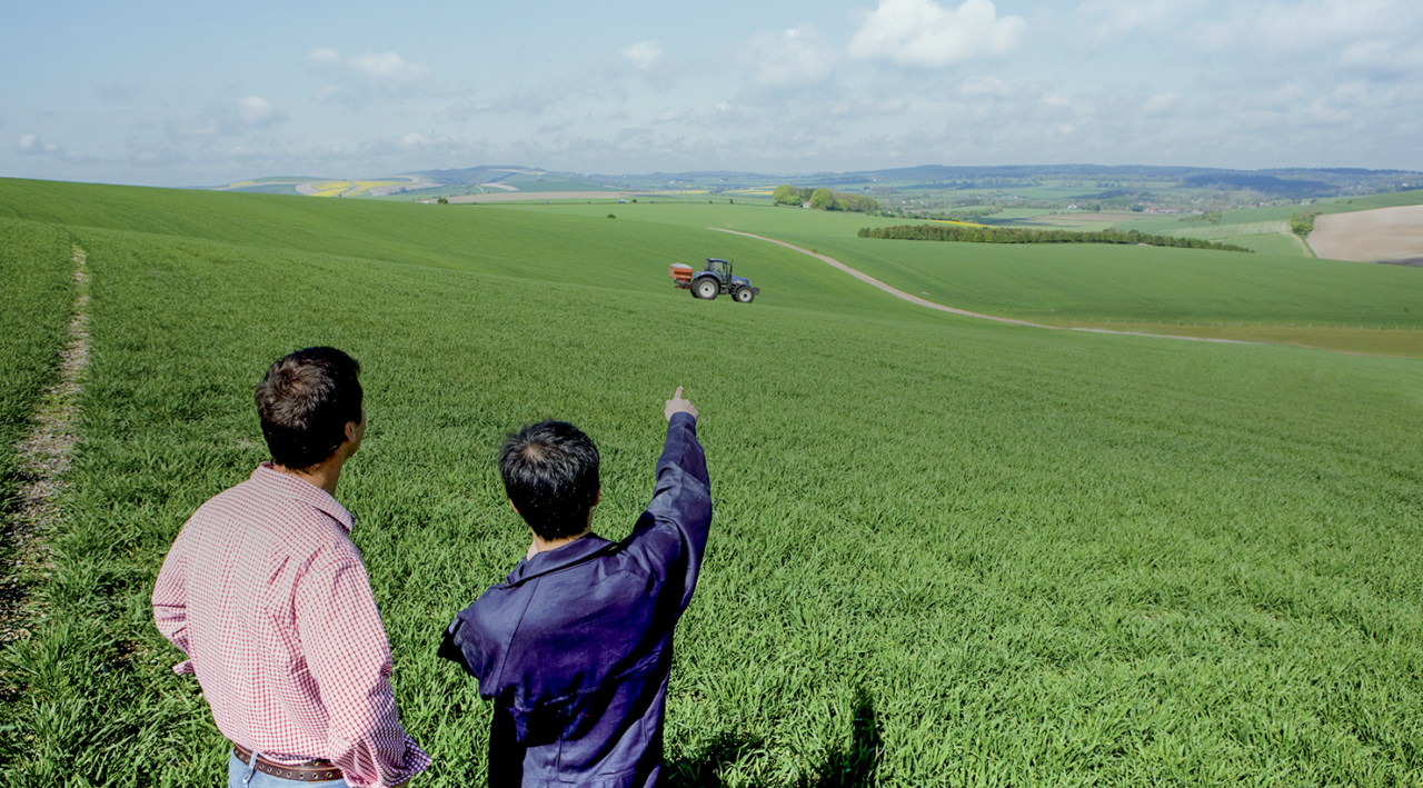 agri-environmental services