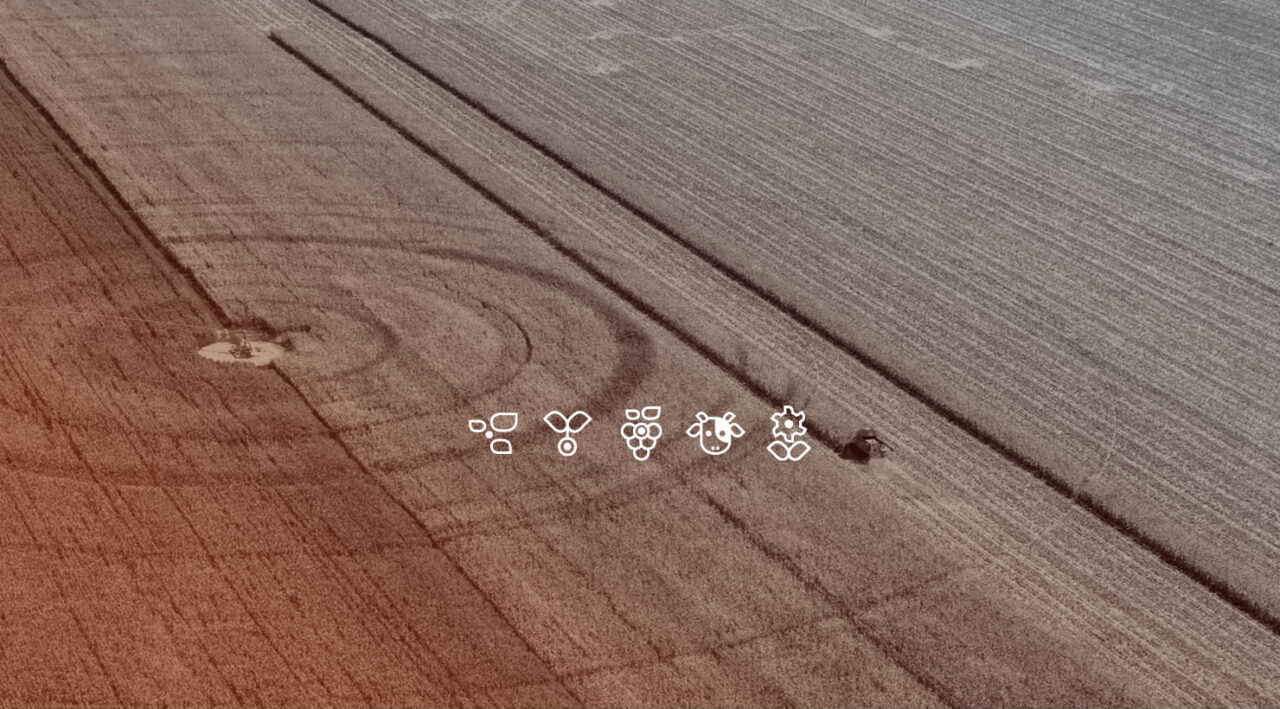 Logiciel pour les filières agricoles et agro-industrielles smag