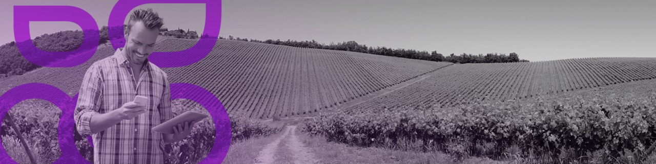 solutions SMAG pour la filière vigne & vin