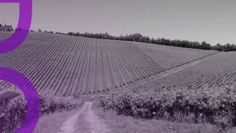 solutions SMAG pour la filière vigne & vin