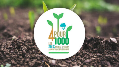 Carbone et agriculture : SMAG rejoint « 4 pour 1000 » et crée SMAG Soil