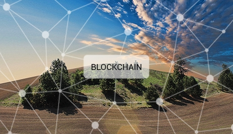 blockchain agriculture