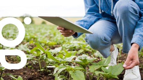 L’agriculture numérique