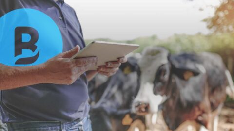 Logiciel de gestion des élevages