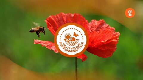 La réforme 2022 de la HVE