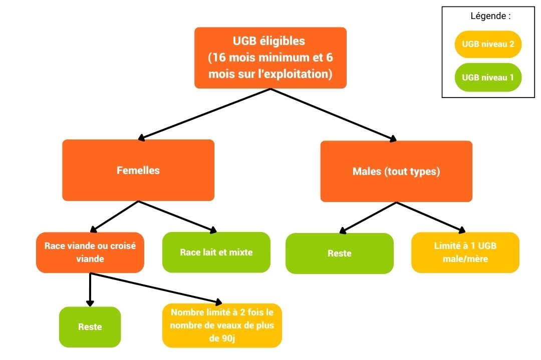 PAC 2023 - 2027 : Le Guide Complet - SMAG