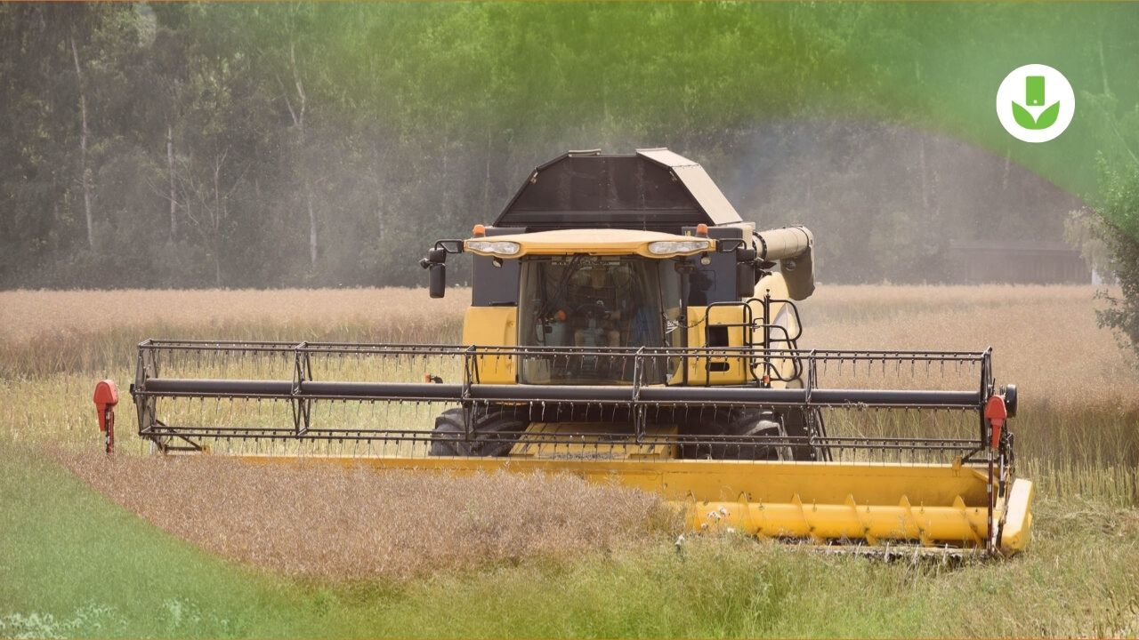 « Un énorme gain de temps ! J&rsquo;épargne 20h de travail d&rsquo;encodage par an »