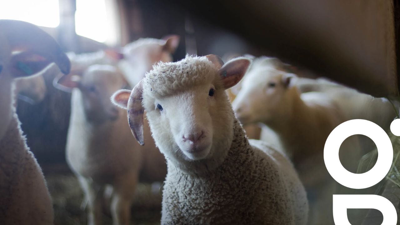 gérer son élevage agricole