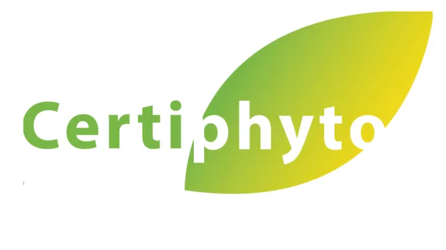 certyphito