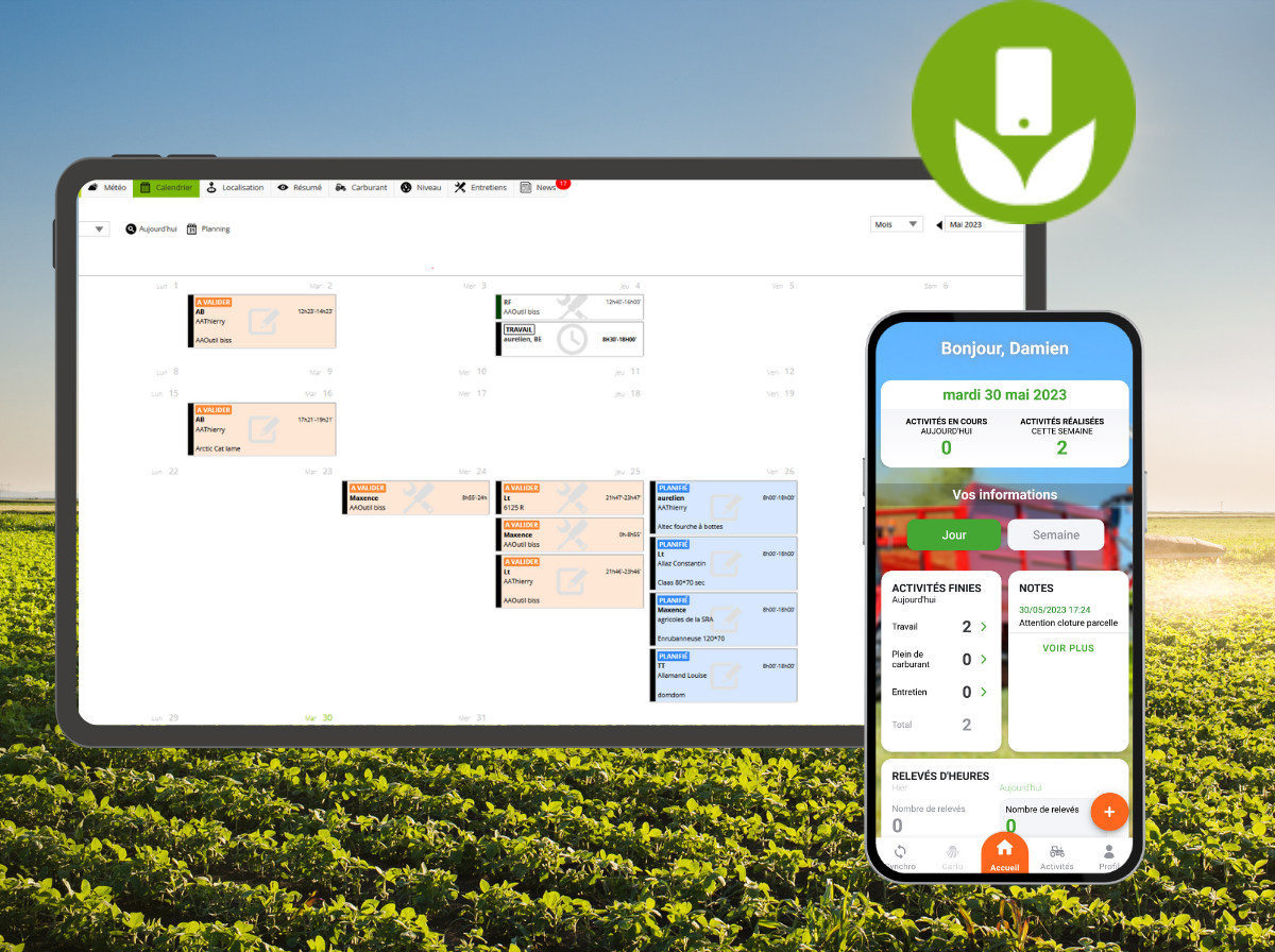 application Web et Mobile LEA