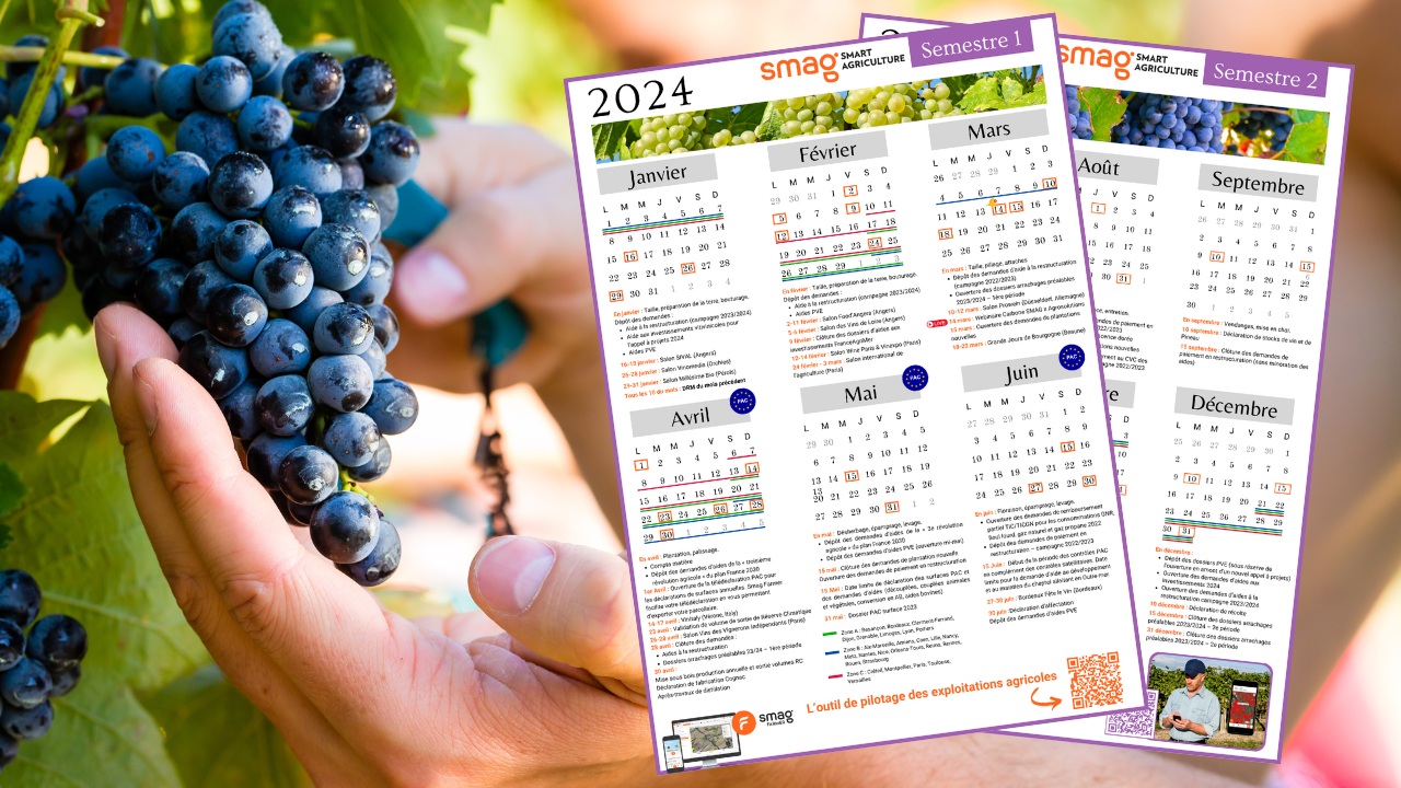 Le calendrier viticole 2024