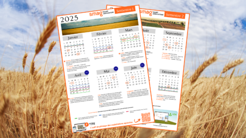 calendrier agricole 2025