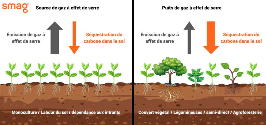 Séquestration du carbone dans le sol