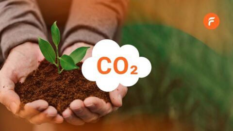 Le stock de carbone dans les sols