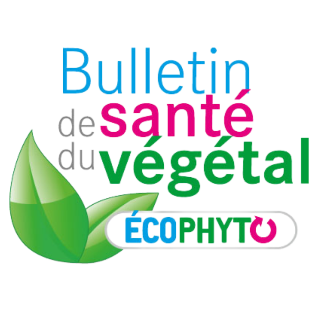 Le Bulletin de Santé du Végétal (BSV)