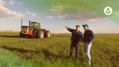 logiciel de facturation agricole LEA