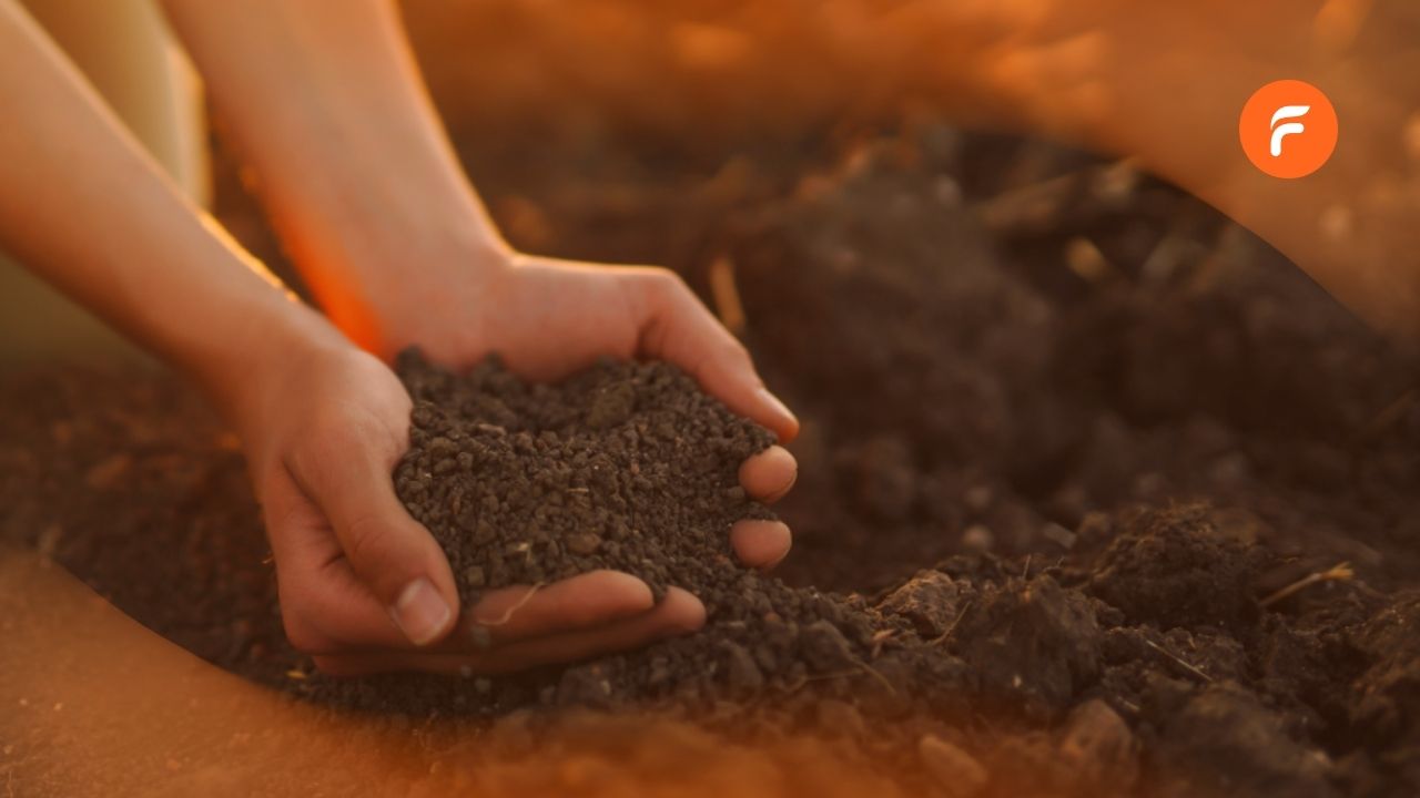 Analyse de sol agricole [Guide & infos] – SMAG