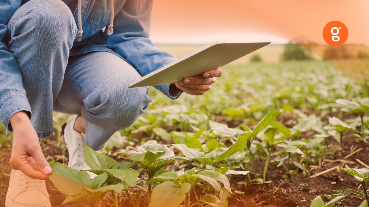 L’agriculture numérique au service du pilotage des cultures  