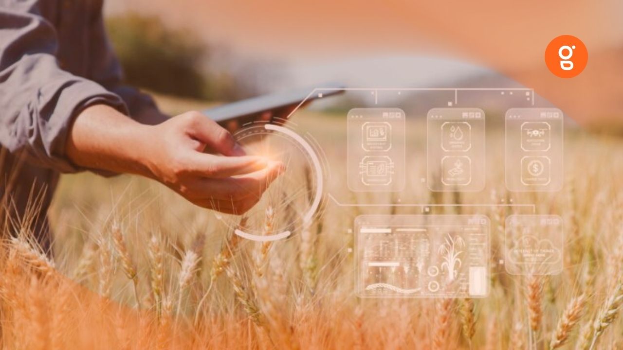 Réussir son tour de plaine avec un carnet de plaine digital