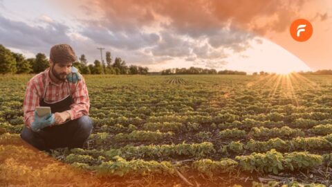 la fiche de travaux phytosanitaire