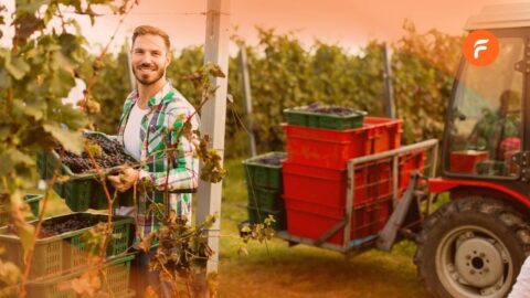 Viticulteur traçabilité viticole