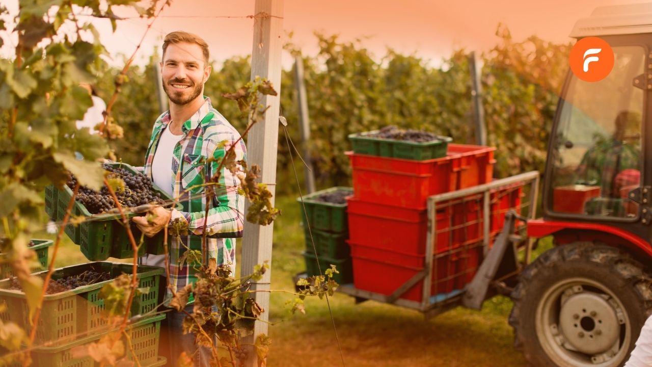 Traçabilité viticole : quel est le meilleur outil ?