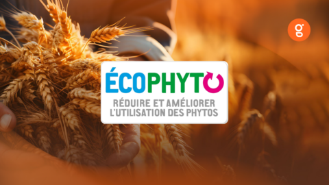 Plan Ecophyto 2