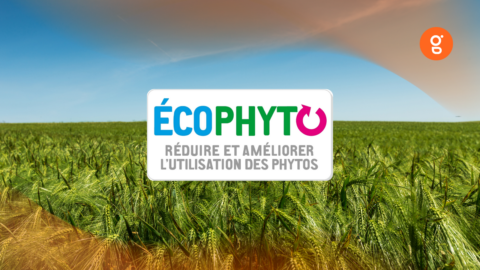 Plan Ecophyto