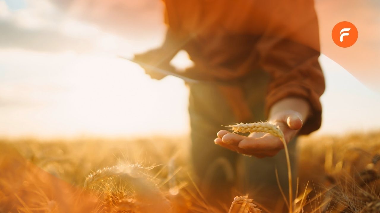 Comprendre l’IFT et apprendre à le calculer facilement