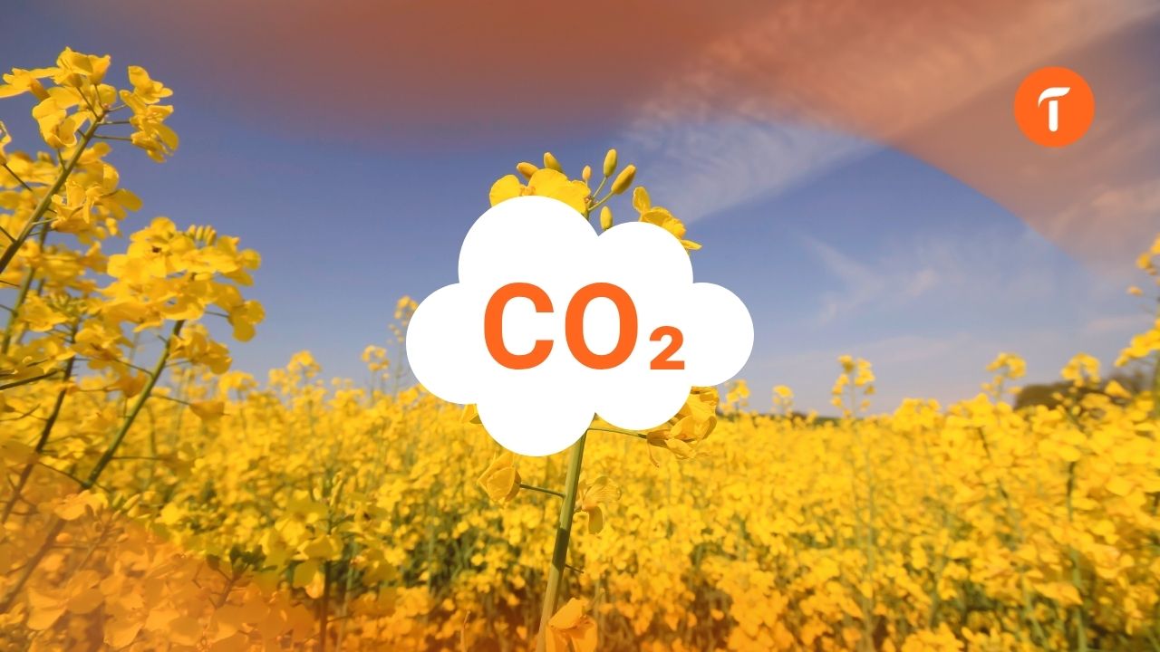 Calculer le bilan carbone de son exploitation agricole