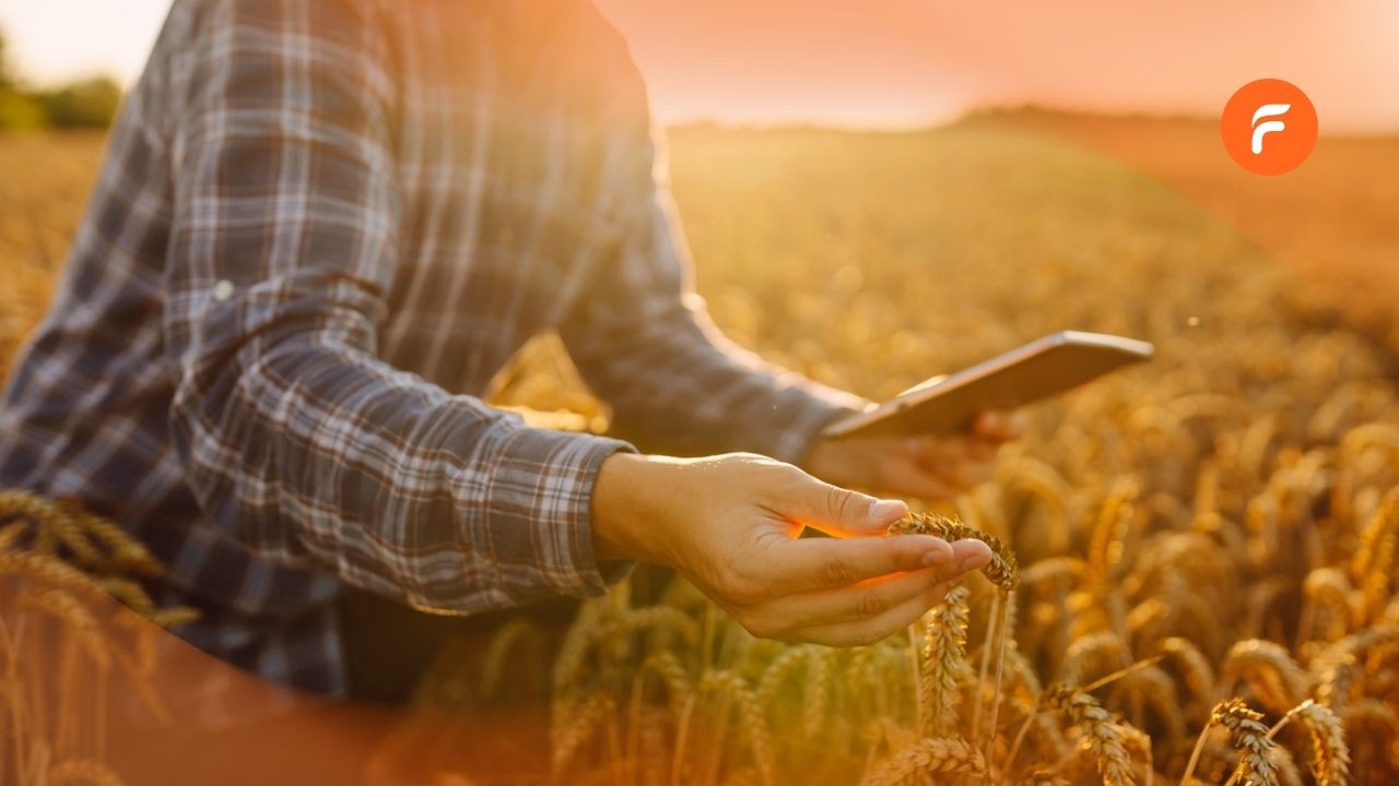 Qu’est-ce qu’un logiciel de gestion parcellaire ?