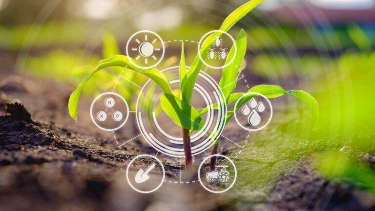 Les avantages d’une agriculture connectée